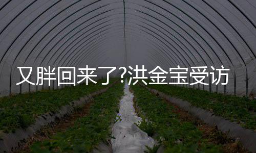 回来洪金了抢镜访大宝受病谣肚子破生又胖言